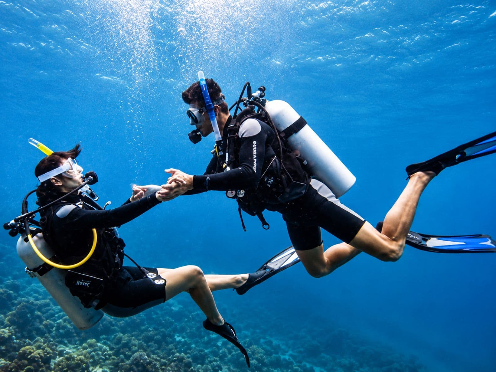 A couple of divers holding hands in the blue water, over the coral reef