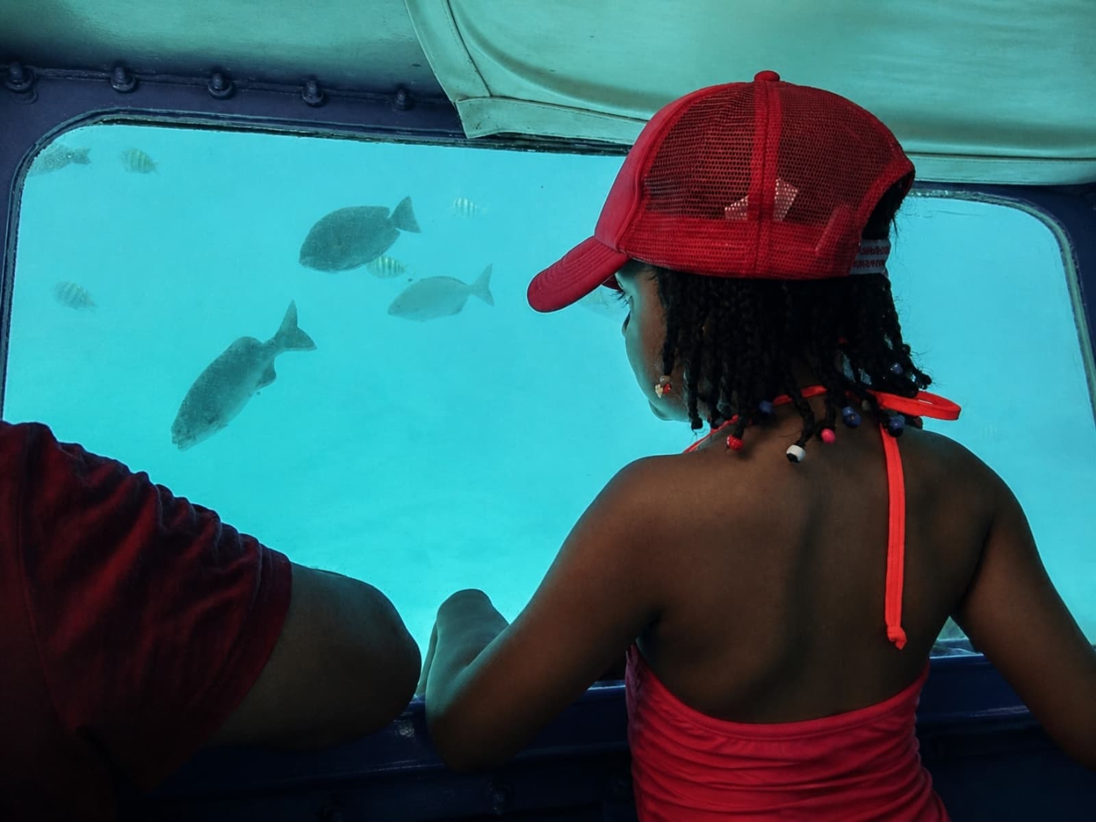 A girl in a red cap looks at the fish through the semi-submarine’s window