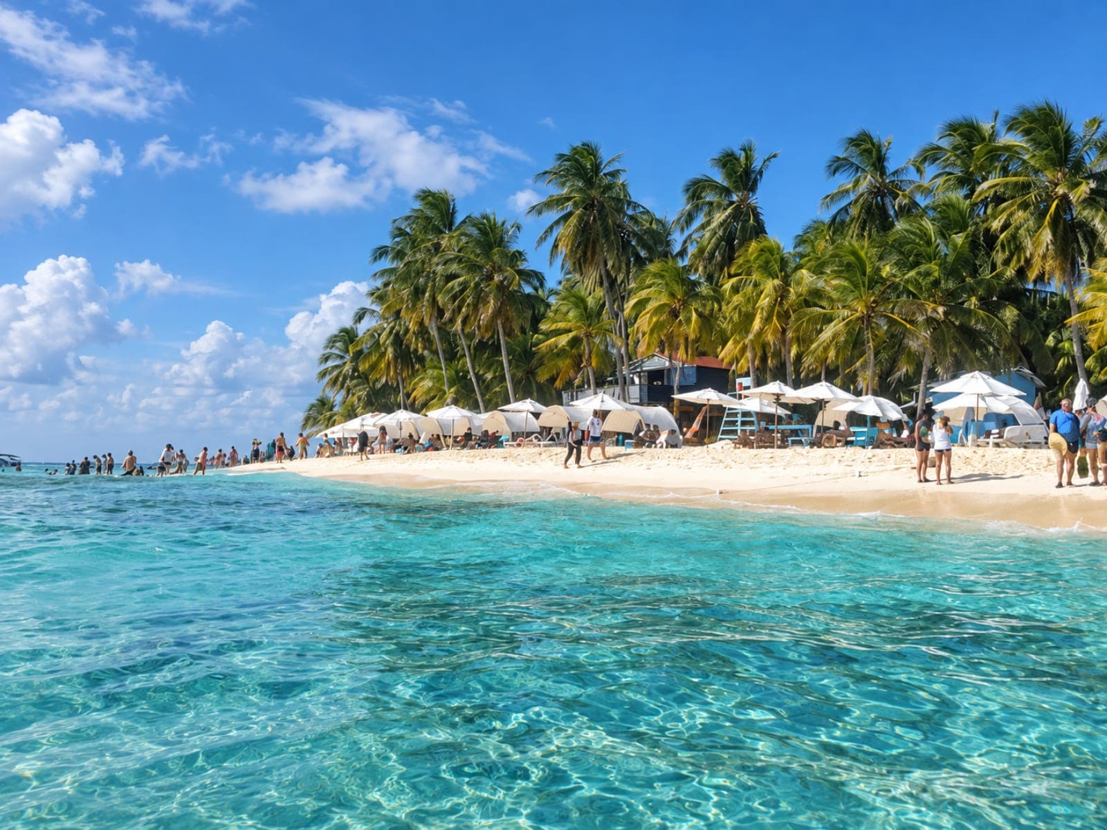 White-sand beach with umbrellas and palm trees by the crystal-clear water