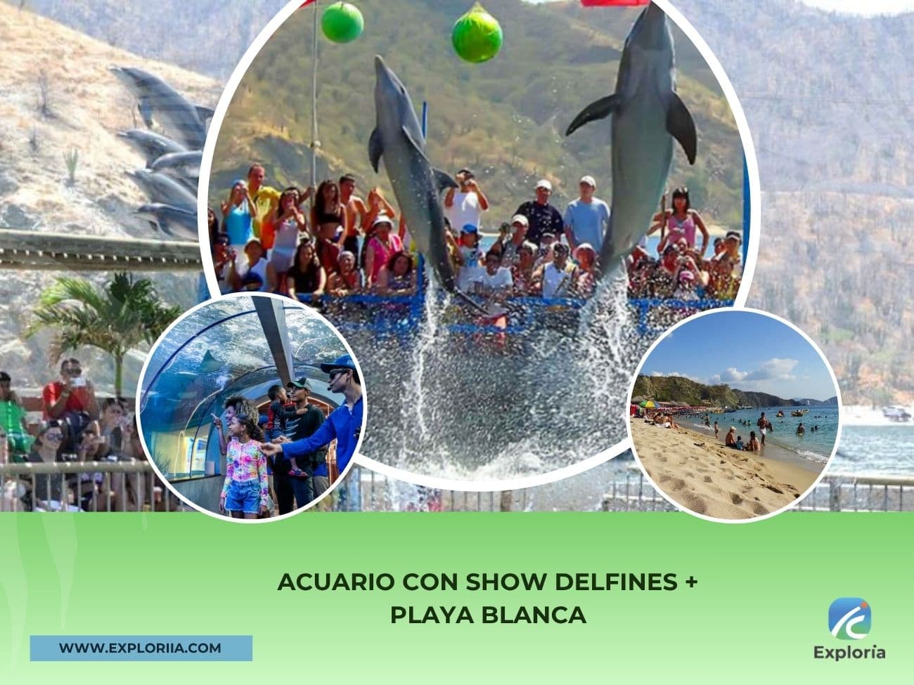 Acuario con Show de Delfines y Playa Blanca – Santa Marta