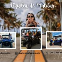 Alquiler de Mulitas en San Andrés Islas