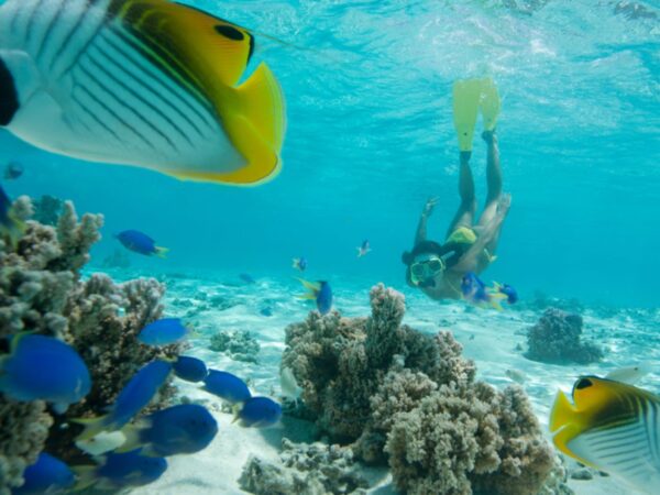 Excursión 4 Islas en Cartagena