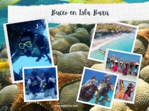Buceo en Isla Barú + Playa Blanca en Cartagena