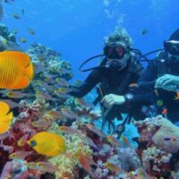 Buceo en Isla Barú + Playa Blanca en Cartagena