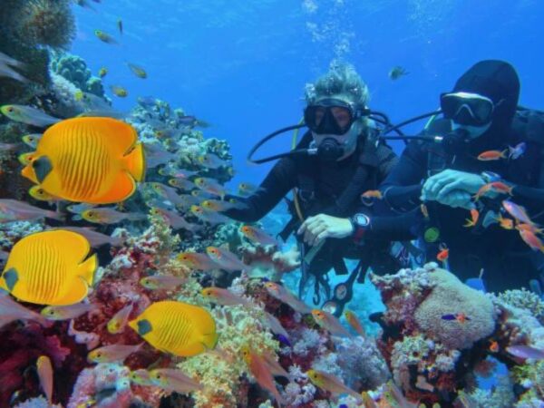Buceo en Isla Barú + Playa Blanca en Cartagena