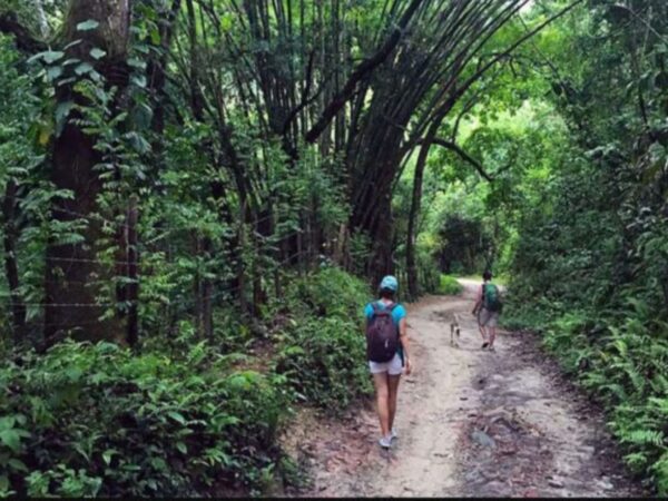 Tour a Minca, Pozo Azul, Taganga y Playa Grande en Santa Marta