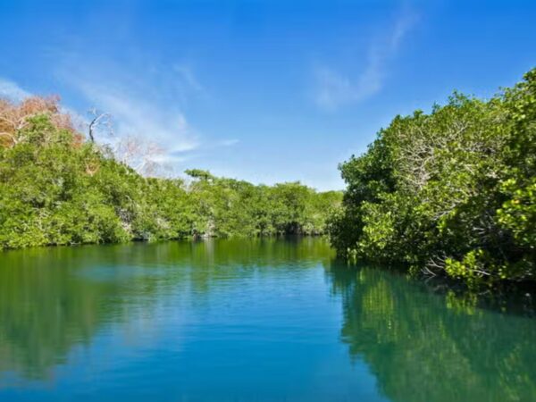 Tour Acuario & Haynes Cay en San Andrés Islas