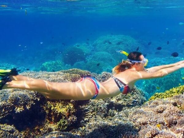 Tour Acuario & Haynes Cay en San Andrés Islas