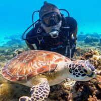 Combo Tour VIP + Buceo en San Andrés Islas