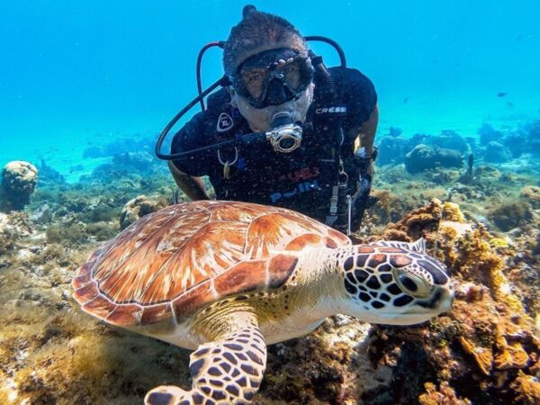 Combo Tour VIP + Buceo en San Andrés Islas