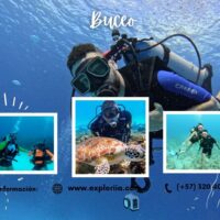 Buceo en San Andrés Islas