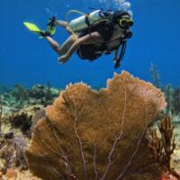 Promoción 2x1 Buceo en San Andrés