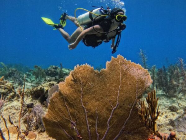 Promoción 2x1 Buceo en San Andrés