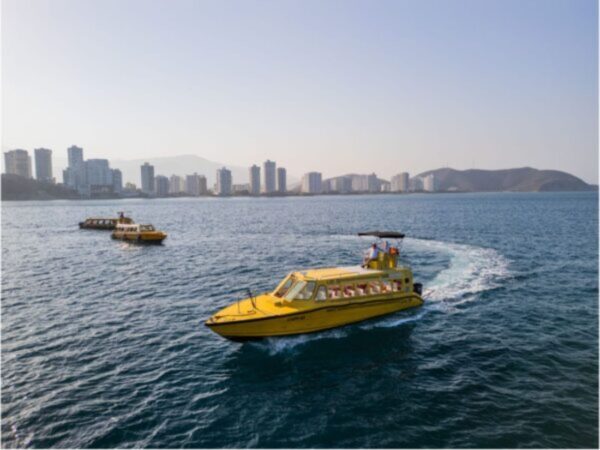 Combo Acuario con Show de Delfines y Playa Blanca + Fiesta Blanca en Catamarán en Santa Marta