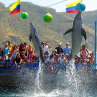 Combo Acuario con Show de Delfines y Playa Blanca + Fiesta Blanca en Catamarán en Santa Marta