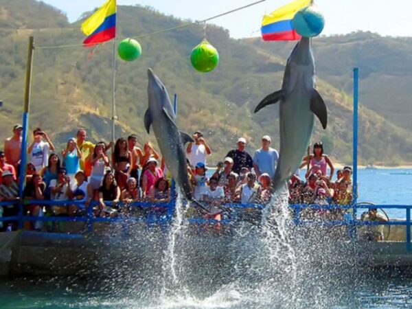 Combo Acuario con Show de Delfines y Playa Blanca + Fiesta Blanca en Catamarán en Santa Marta