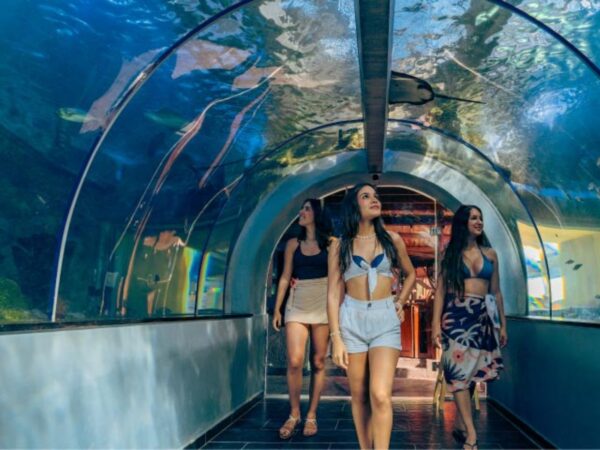 Combo Acuario con Show de Delfines y Playa Blanca + Fiesta Blanca en Catamarán en Santa Marta