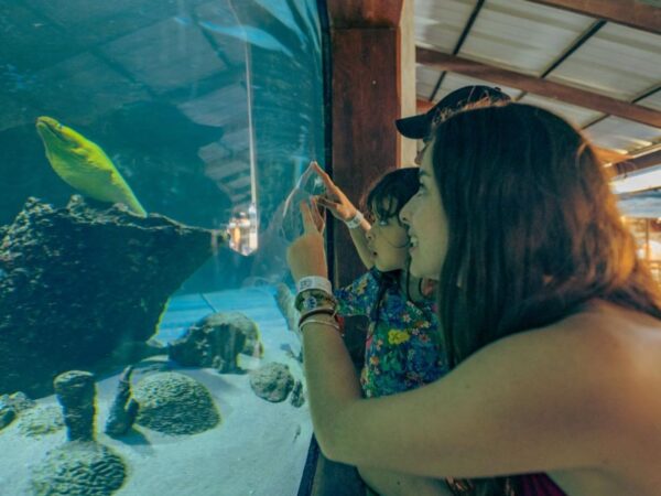 Combo Acuario con Show de Delfines y Playa Blanca + Fiesta Blanca en Catamarán en Santa Marta