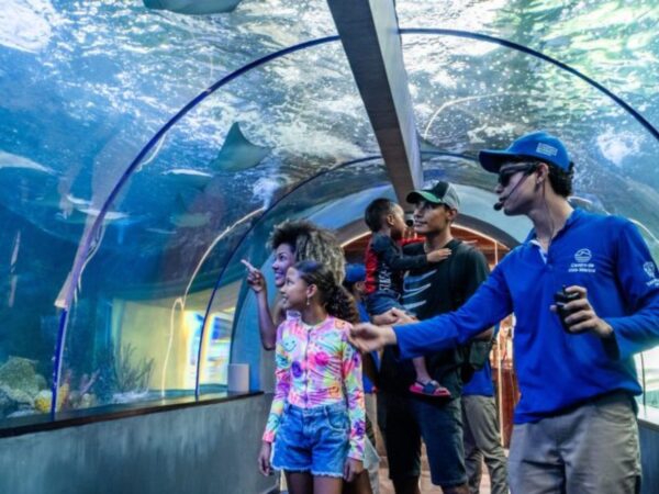 Combo Acuario con Show de Delfines y Playa Blanca + Fiesta Blanca en Catamarán en Santa Marta