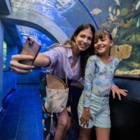 Combo Acuario con Show de Delfines y Playa Blanca + Fiesta Blanca en Catamarán en Santa Marta