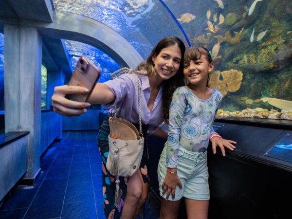 Combo Acuario con Show de Delfines y Playa Blanca + Fiesta Blanca en Catamarán en Santa Marta