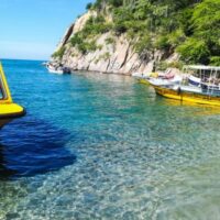 Combo Acuario con Show de Delfines y Playa Blanca + Fiesta Blanca en Catamarán en Santa Marta