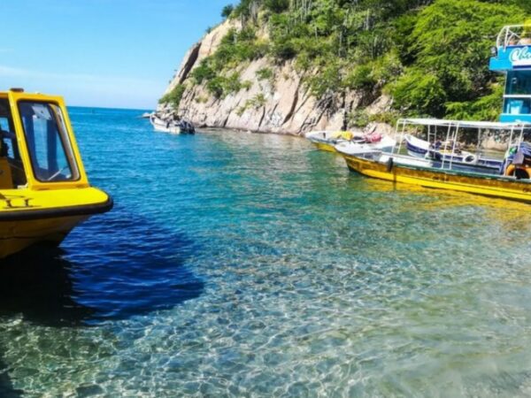 Combo Acuario con Show de Delfines y Playa Blanca + Fiesta Blanca en Catamarán en Santa Marta
