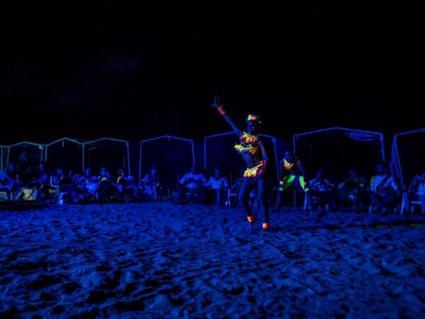 Combo Acuario con Show de Delfines y Playa Blanca + Fiesta Blanca en Catamarán en Santa Marta