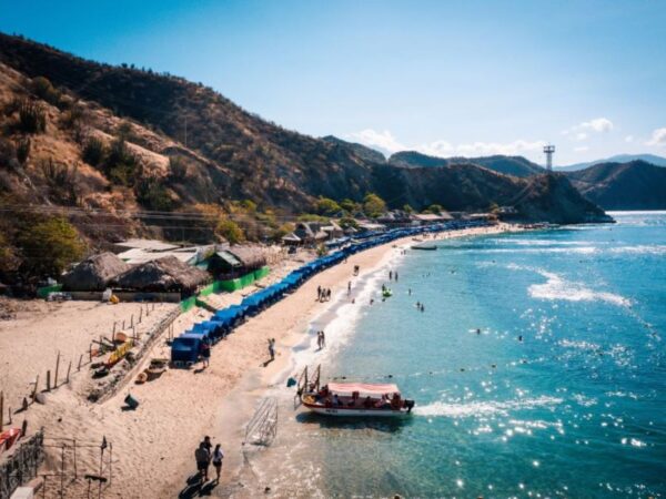 Combo Acuario con Show de Delfines y Playa Blanca + Fiesta Blanca en Catamarán en Santa Marta