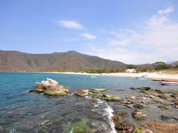 Combo Bahía Concha Parque Tayrona + Fiesta Blanca en Catamarán Santa Marta