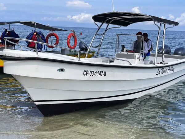 Combo Bahía Concha Parque Tayrona + Fiesta Blanca en Catamarán Santa Marta
