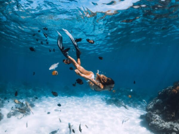 Combo Minca, Pozo Azul, Taganga y Playa Grande + Bahía Concha en Santa Marta