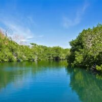 Combo Tour Bahía en Pontón + Vuelta a la Isla en Chiva San Andrés