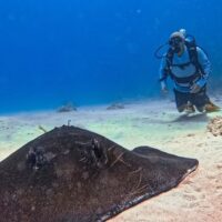 Combo Tour Bahía en Pontón + Buceo + Vuelta a la Isla en Chiva San Andrés