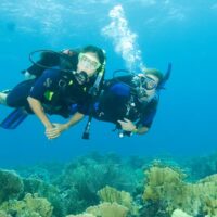 Combo Tour Bahía en Pontón + Buceo + Vuelta a la Isla en Chiva San Andrés