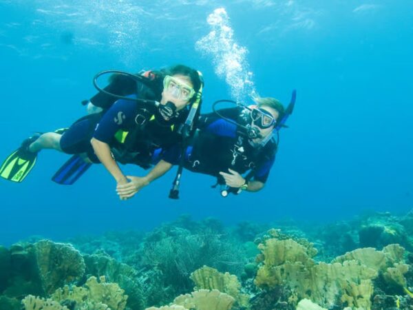 Combo Tour Bahía en Pontón + Buceo + Vuelta a la Isla en Chiva San Andrés