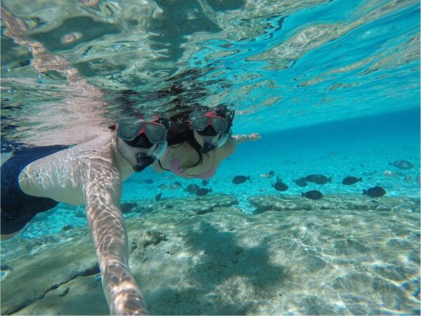 Combo Tour VIP + Vuelta a la Isla en Chiva San Andrés