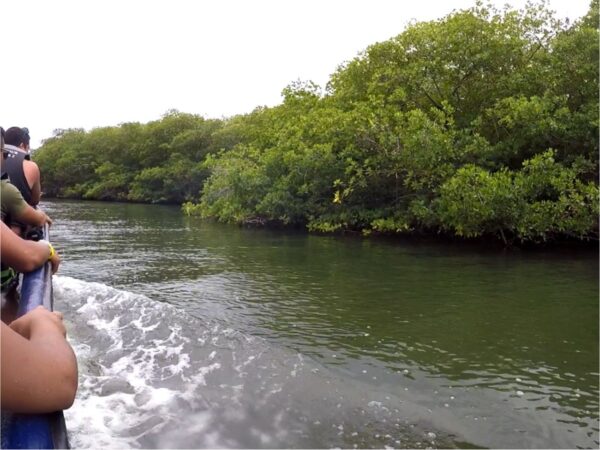 Combo Tour VIP + Vuelta a la Isla en Chiva San Andrés