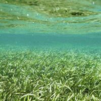 Tour en Kayak Transparente San Andrés