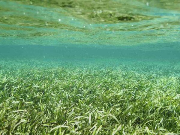 Tour en Kayak Transparente San Andrés