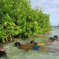 Tour en Kayak Transparente San Andrés