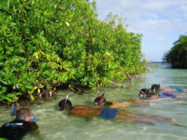 Tour en Kayak Transparente San Andrés