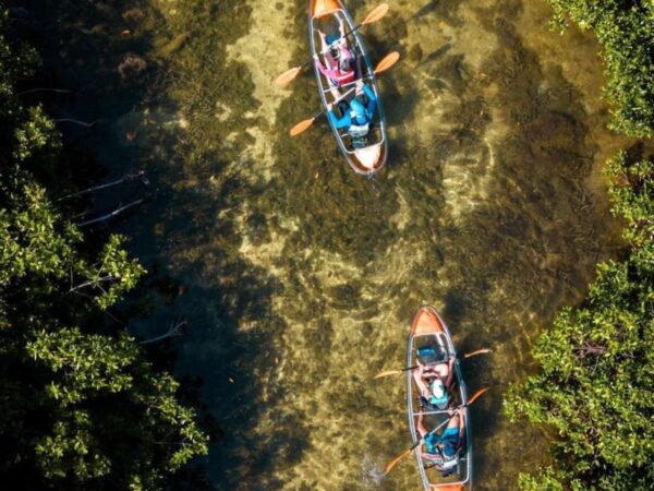 Tour en Kayak Transparente San Andrés