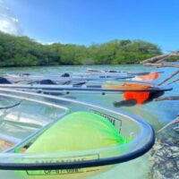 Tour en Kayak Transparente San Andrés