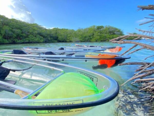 Tour en Kayak Transparente San Andrés