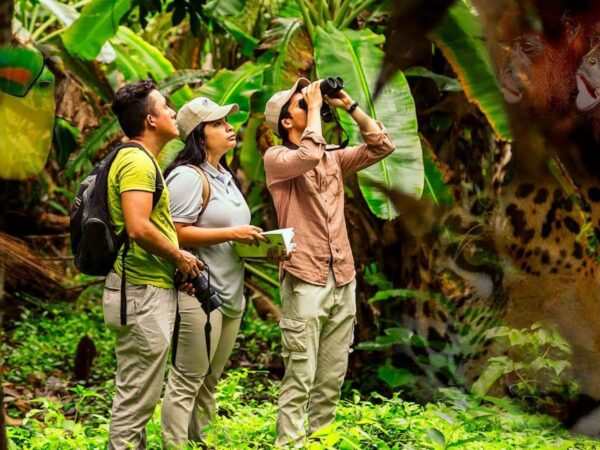 Playa Cristal Parque Tayrona en Santa Marta