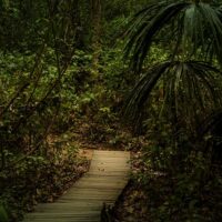 Promoción 2 x1 Cabo San Juan Parque Tayrona en Santa Marta