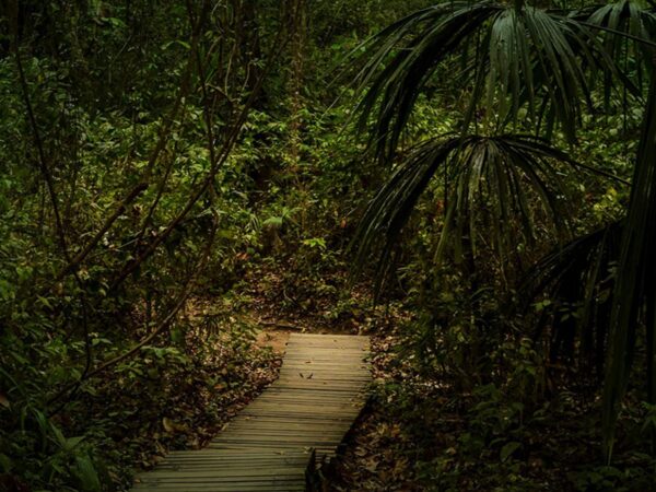 Promoción 2 x1 Cabo San Juan Parque Tayrona en Santa Marta