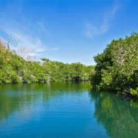 Tour Bahía en Pontón San Andrés Islas
