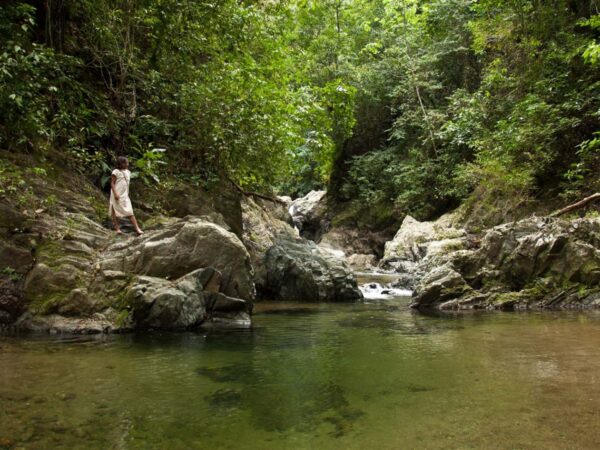 Tour a Palomino - Santa Marta